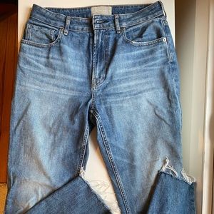 Everlane Curvy Cheeky Jean